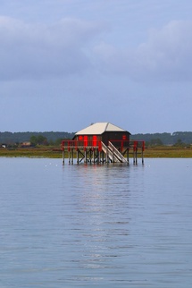 Location de catamaran en automne sur le bassin d’Arcachon