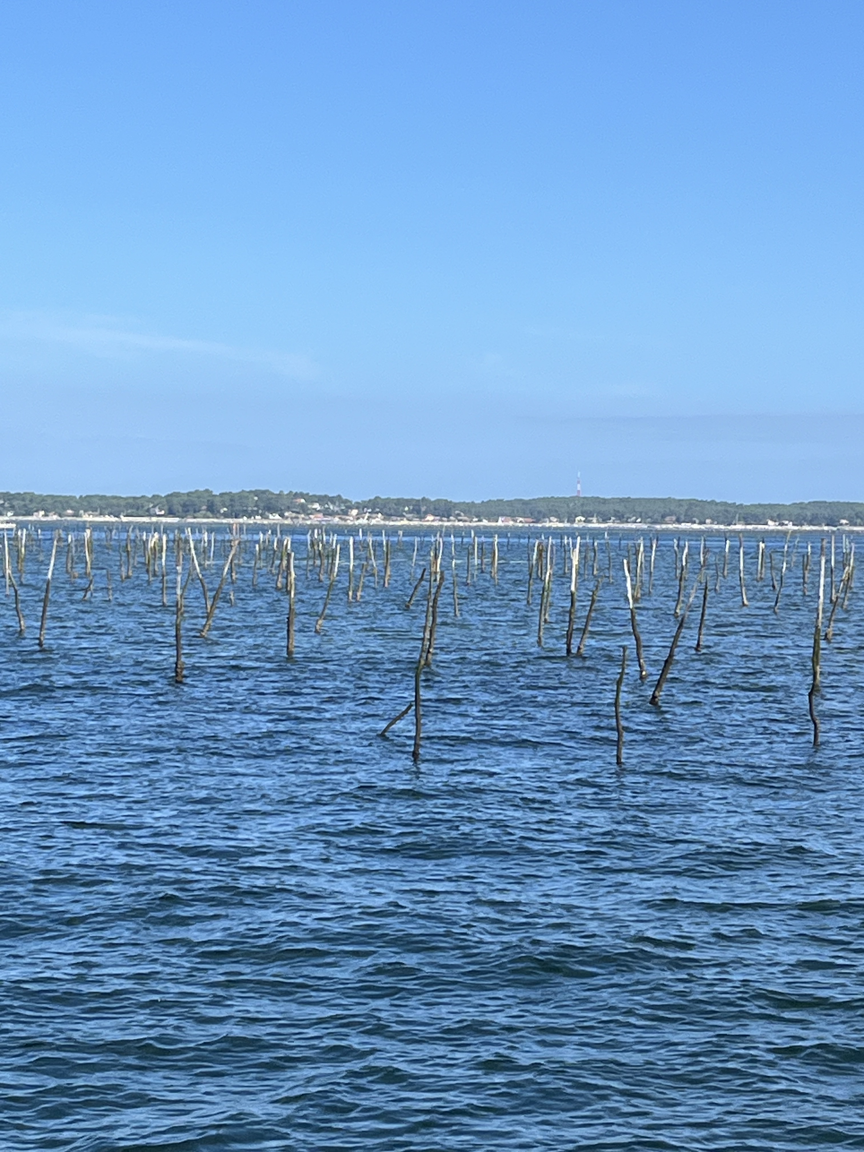 Parcs ostréicoles sur le bassin d’arcachon Parcs ostréicoles sur le bassin d’arcachon