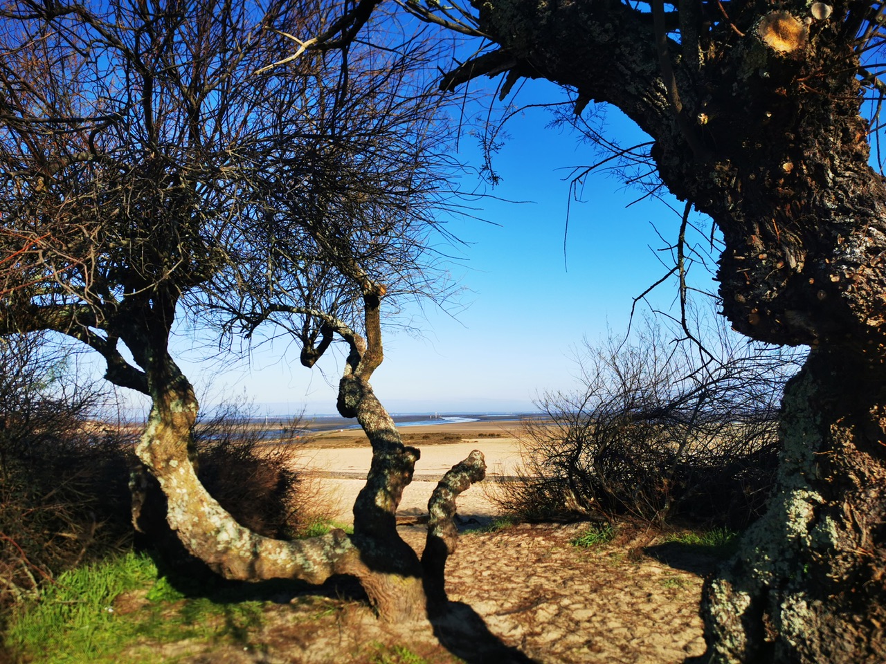 La Hume à Gujan Mestras