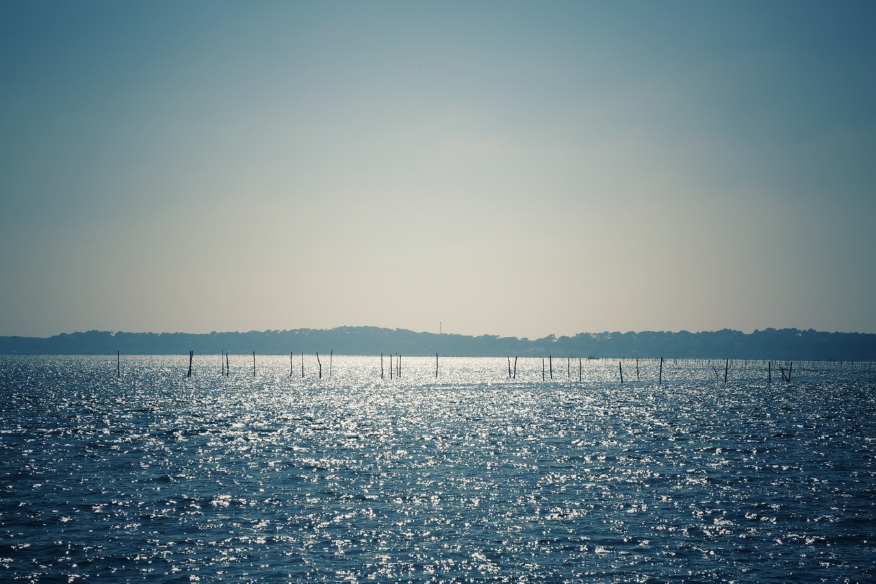 Les coins secrets du bassin d’Arcachon où naviguer