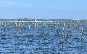 Parcs ostréicoles du Bassin d’Arcachon : une visite en catamaran pour les gourmets