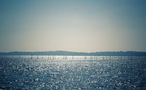Les 2 spots secrets sur le Bassin d’Arcachon à découvrir en bateau